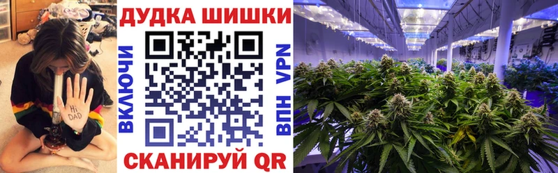 Купить  Махачкала  Конопля сатива 